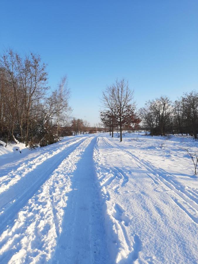Leipziger Neuseenland Apartment Markkleeberg Dış mekan fotoğraf